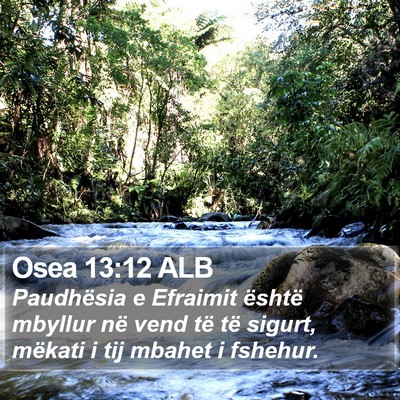 Osea 13:12 ALB Bible Verse Image