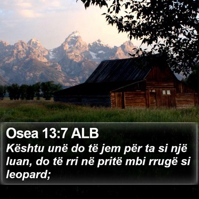 Osea 13:7 ALB Bible Verse Image