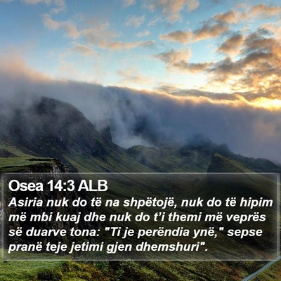 Osea 14:3 ALB Bible Verse Image