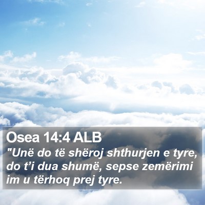 Osea 14:4 ALB Bible Verse Image