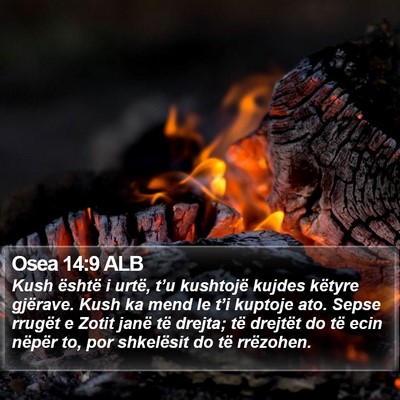 Osea 14:9 ALB Bible Verse Image
