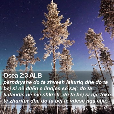 Osea 2:3 ALB Bible Verse Image