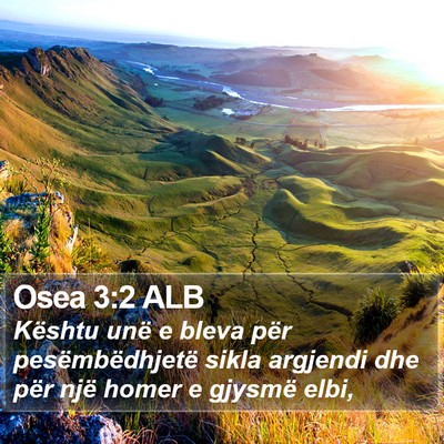 Osea 3:2 ALB Bible Verse Image