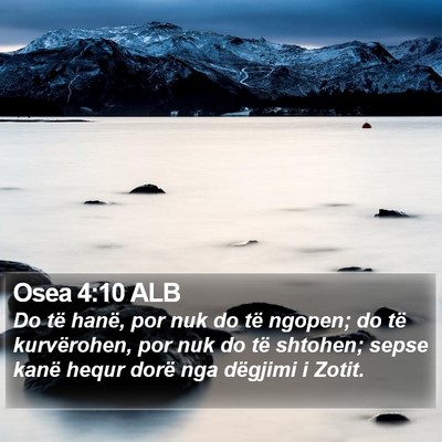 Osea 4:10 ALB Bible Verse Image