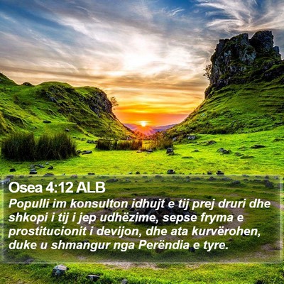 Osea 4:12 ALB Bible Verse Image