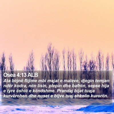 Osea 4:13 ALB Bible Verse Image