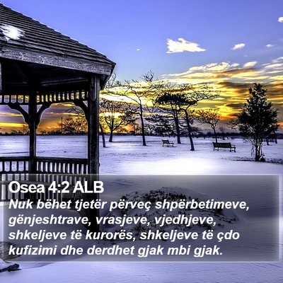Osea 4:2 ALB Bible Verse Image