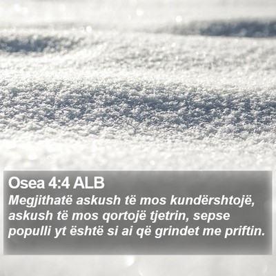 Osea 4:4 ALB Bible Verse Image