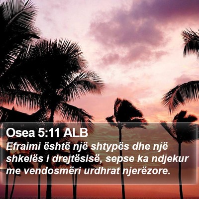 Osea 5:11 ALB Bible Verse Image