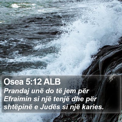 Osea 5:12 ALB Bible Verse Image