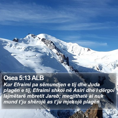 Osea 5:13 ALB Bible Verse Image