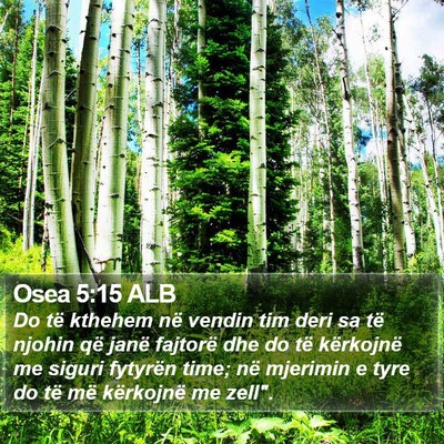 Osea 5:15 ALB Bible Verse Image