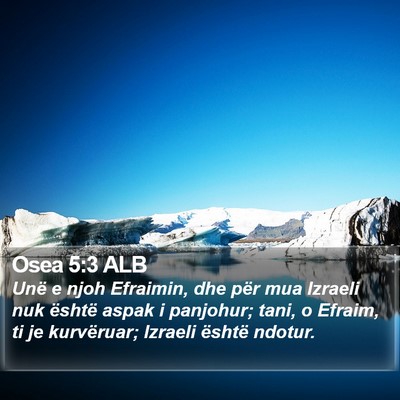 Osea 5:3 ALB Bible Verse Image