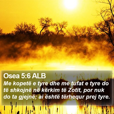 Osea 5:6 ALB Bible Verse Image