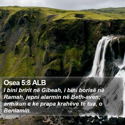 Osea 5:8 ALB Bible Verse Image