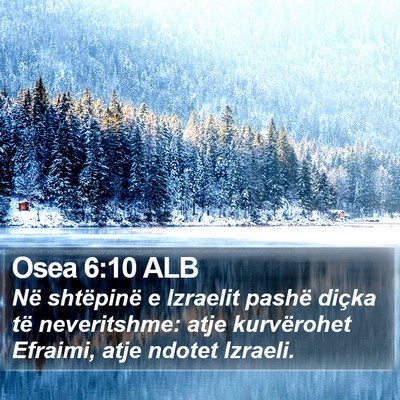 Osea 6:10 ALB Bible Verse Image