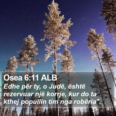 Osea 6:11 ALB Bible Verse Image