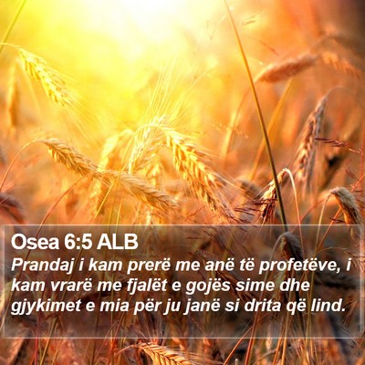 Osea 6:5 ALB Bible Verse Image
