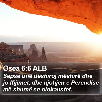 Osea 6:6 ALB Bible Verse Image