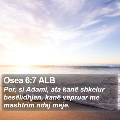 Osea 6:7 ALB Bible Verse Image