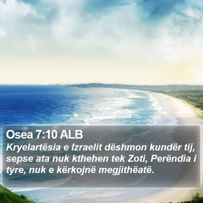 Osea 7:10 ALB Bible Verse Image