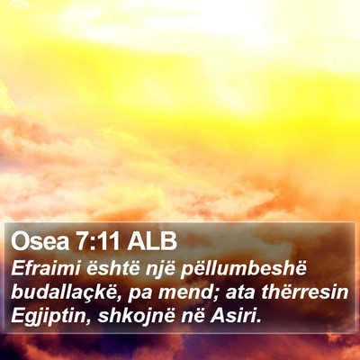 Osea 7:11 ALB Bible Verse Image