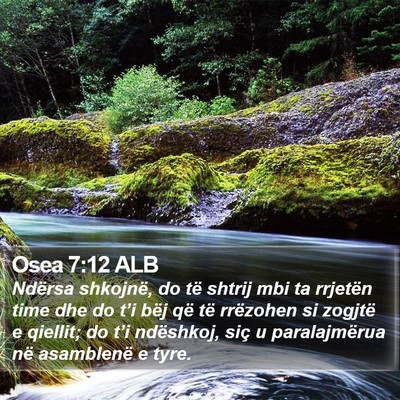 Osea 7:12 ALB Bible Verse Image