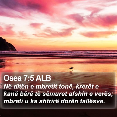 Osea 7:5 ALB Bible Verse Image