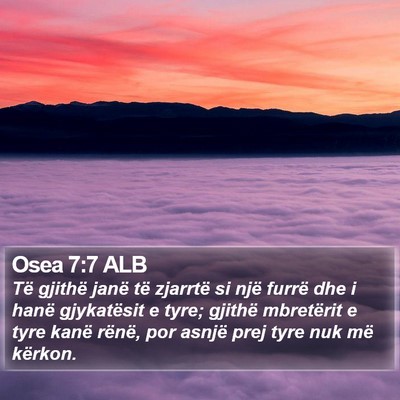 Osea 7:7 ALB Bible Verse Image