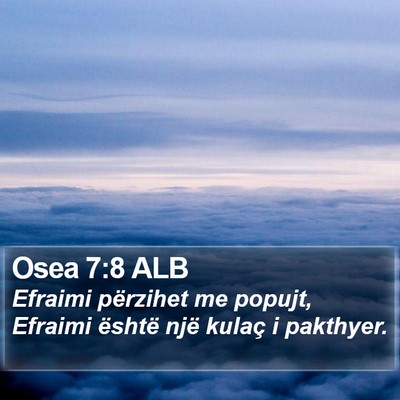 Osea 7:8 ALB Bible Verse Image