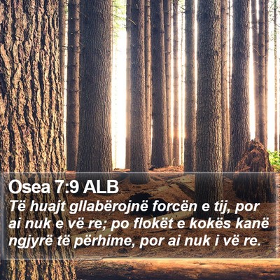 Osea 7:9 ALB Bible Verse Image
