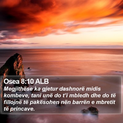 Osea 8:10 ALB Bible Verse Image