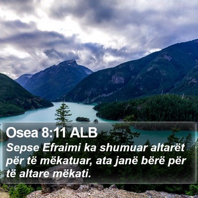 Osea 8:11 ALB Bible Verse Image
