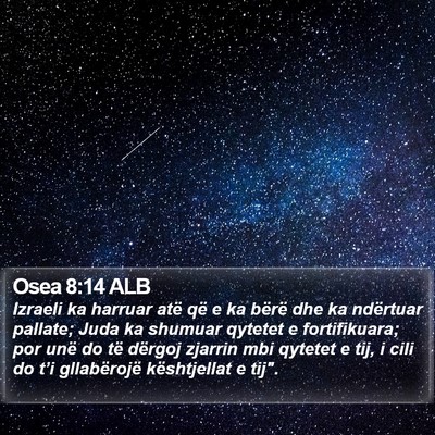 Osea 8:14 ALB Bible Verse Image