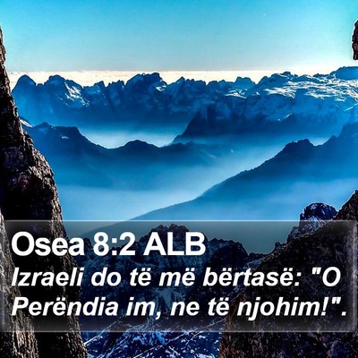 Osea 8:2 ALB Bible Verse Image