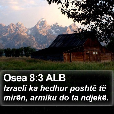 Osea 8:3 ALB Bible Verse Image