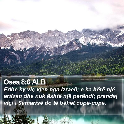 Osea 8:6 ALB Bible Verse Image