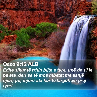 Osea 9:12 ALB Bible Verse Image