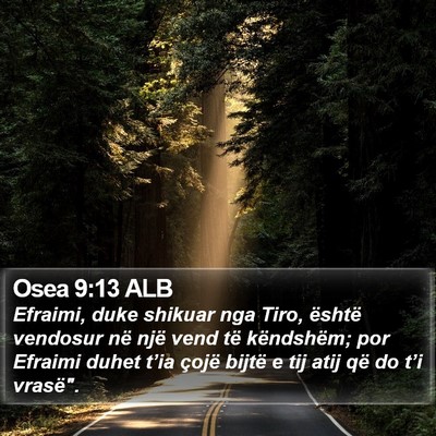 Osea 9:13 ALB Bible Verse Image