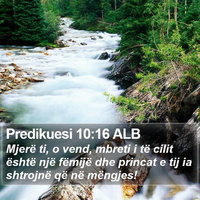 Predikuesi 10:16 ALB Bible Verse Image