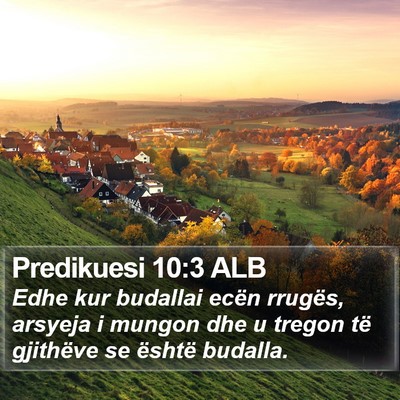 Predikuesi 10:3 ALB Bible Verse Image