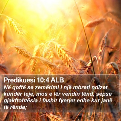 Predikuesi 10:4 ALB Bible Verse Image