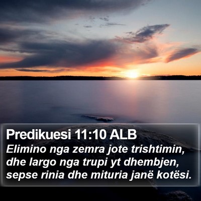 Predikuesi 11:10 ALB Bible Verse Image