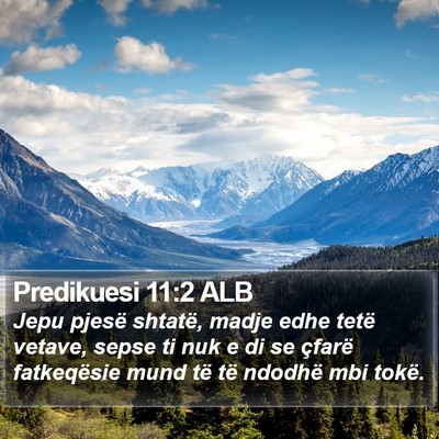Predikuesi 11:2 ALB Bible Verse Image