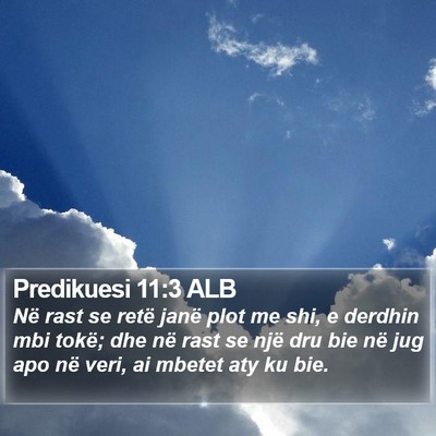 Predikuesi 11:3 ALB Bible Verse Image
