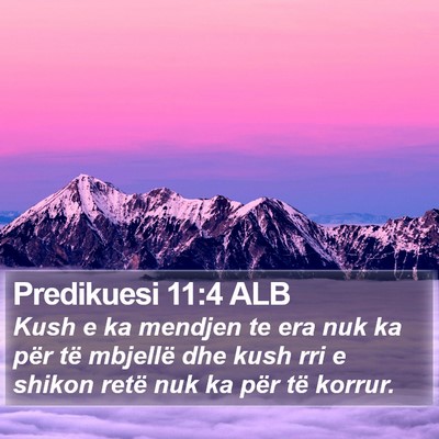 Predikuesi 11:4 ALB Bible Verse Image