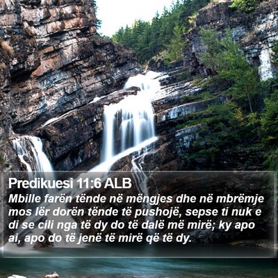Predikuesi 11:6 ALB Bible Verse Image