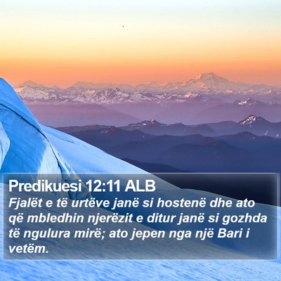 Predikuesi 12:11 ALB Bible Verse Image
