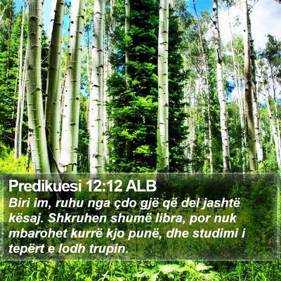 Predikuesi 12:12 ALB Bible Verse Image
