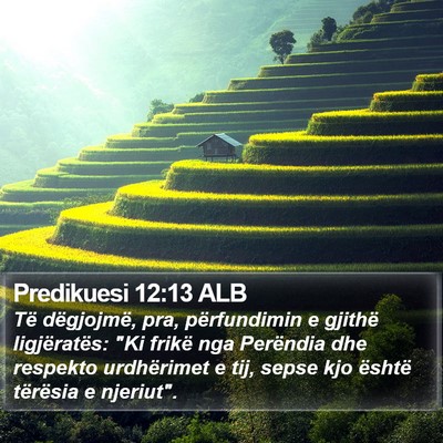 Predikuesi 12:13 ALB Bible Verse Image